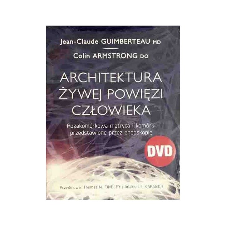 ARCHITEKTURA ŻYWEJ POWIĘZI CZŁOWIEKA ARCHITEKTURA ŻYWEJ POWIĘZI CZŁOWIEKA