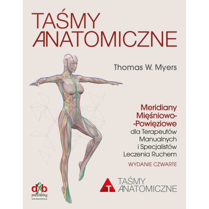 TAŚMY ANATOMICZNE TAŚMY ANATOMICZNE