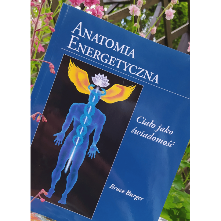 ANATOMIA ENERGETYCZNA ANATOMIA ENERGETYCZNA