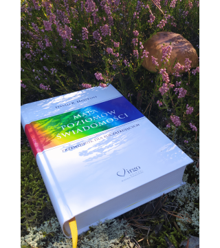 MAPA POZIOMÓW ŚWIADOMOŚCI