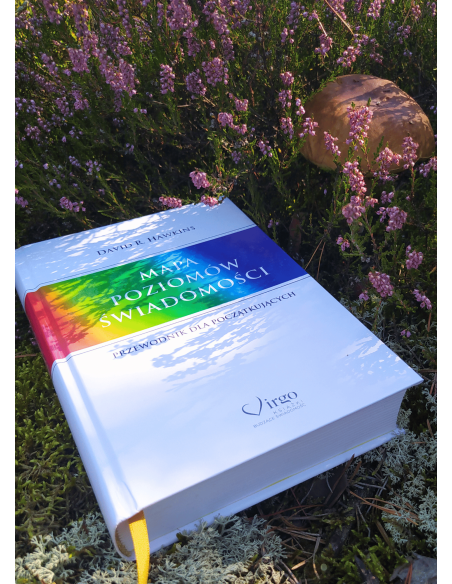 MAPA POZIOMÓW ŚWIADOMOŚCI