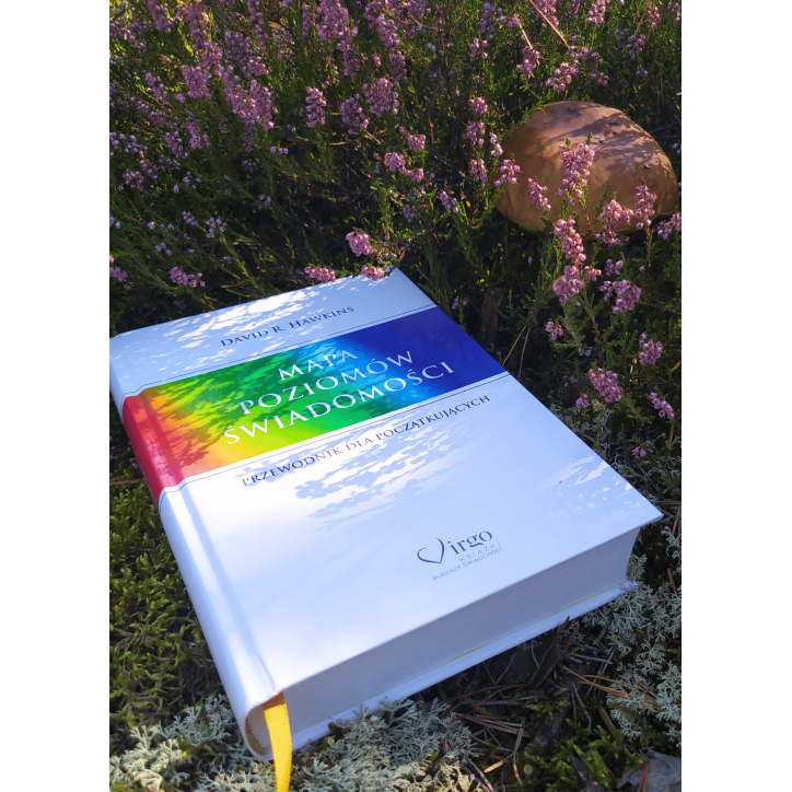 MAPA POZIOMÓW ŚWIADOMOŚCI MAPA POZIOMÓW ŚWIADOMOŚCI