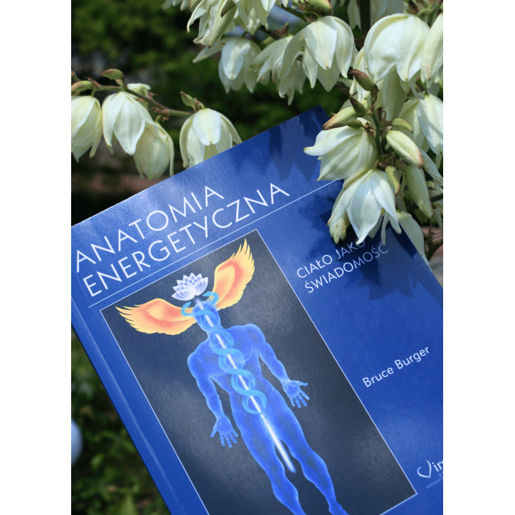 ANATOMIA ENERGETYCZNA ANATOMIA ENERGETYCZNA