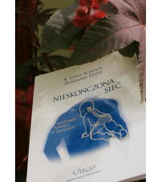 NIESKOŃCZONA SIEĆ - Wydawnictwo Virgo ❤