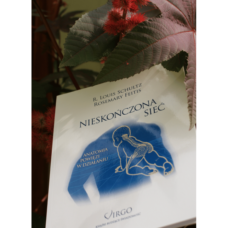 NIESKOŃCZONA SIEĆ NIESKOŃCZONA SIEĆ