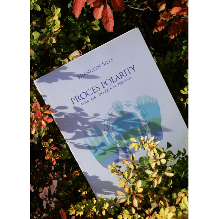 PROCES POLARITY PROCES POLARITY