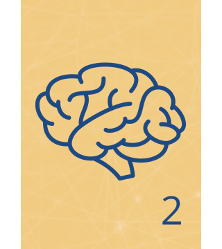 M14 - Piotr Pałagin - WYBÓR CHORÓB ZWIĄZANYCH Z MÓZGIEM - Wydawnictwo Virgo ❤