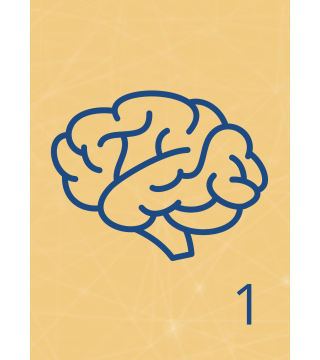 M13 - Piotr Pałagin - MÓZG, OPONY MÓZGOWE, PŁYN MÓZGOWO-RDZENIOWY, ZAPALENIE OPON MÓZGOWYCH, NERWY CZASZKOWO-KRZYŻOWE - Wydawnic