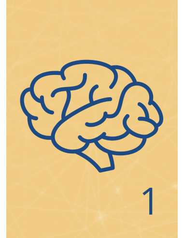 M13 - Piotr Pałagin - MÓZG, OPONY MÓZGOWE, PŁYN MÓZGOWO-RDZENIOWY, ZAPALENIE OPON MÓZGOWYCH, NERWY CZASZKOWO-KRZYŻOWE - Wydawnic
