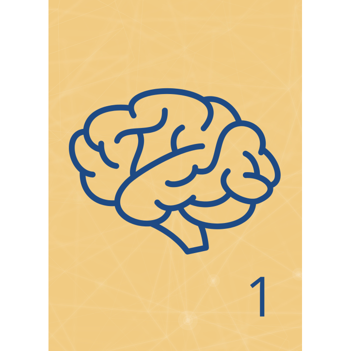 M13 - Piotr Pałagin - MÓZG, OPONY MÓZGOWE, PŁYN MÓZGOWO-RDZENIOWY, ZAPALENIE OPON MÓZGOWYCH, NERWY CZASZKOWO-KRZYŻOWE M13 - Piotr Pałagin - MÓZG, OPONY MÓZGOWE, PŁYN MÓZGOWO-RDZENIOWY, ZAPALENIE OPON MÓZGOWYCH, NERWY CZASZKOWO-KRZYŻOWE