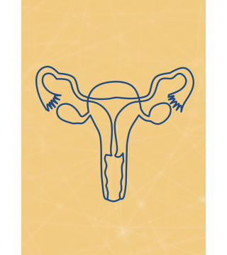 M09 - Piotr Pałagin - UKŁAD ROZRODCZY KOBIETY - Wydawnictwo Virgo ❤