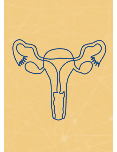 M09 - Piotr Pałagin - UKŁAD ROZRODCZY KOBIETY - Wydawnictwo Virgo ❤