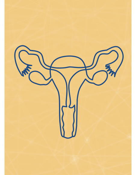 M09 - Piotr Pałagin - UKŁAD ROZRODCZY KOBIETY - Wydawnictwo Virgo ❤