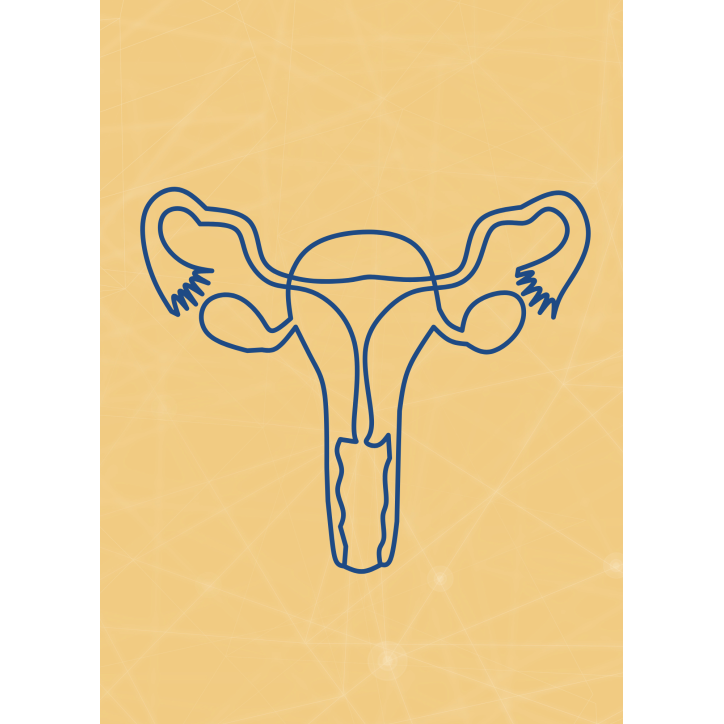 M09 - Piotr Pałagin - UKŁAD ROZRODCZY KOBIETY M09 - Piotr Pałagin - UKŁAD ROZRODCZY KOBIETY