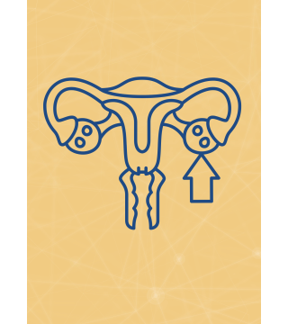 M08 - Piotr Pałagin - JAJNIKI - Wydawnictwo Virgo ❤