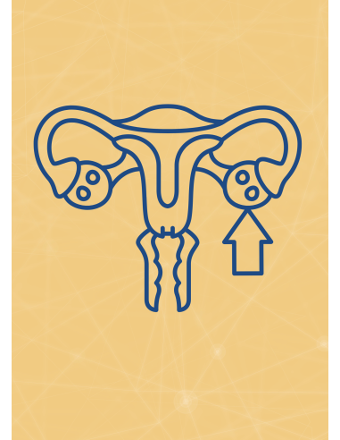 M08 - Piotr Pałagin - JAJNIKI - Wydawnictwo Virgo ❤