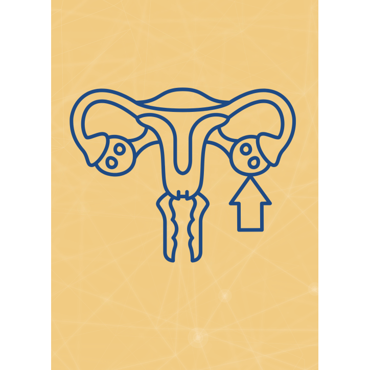 M08 - Piotr Pałagin - JAJNIKI M08 - Piotr Pałagin - JAJNIKI