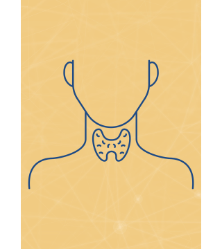M07 - Piotr Pałagin - ENDOKRYNOLOGIA - Wydawnictwo Virgo ❤