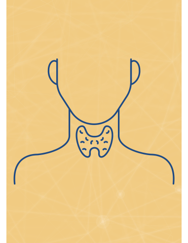 M07 - Piotr Pałagin - ENDOKRYNOLOGIA - Wydawnictwo Virgo ❤