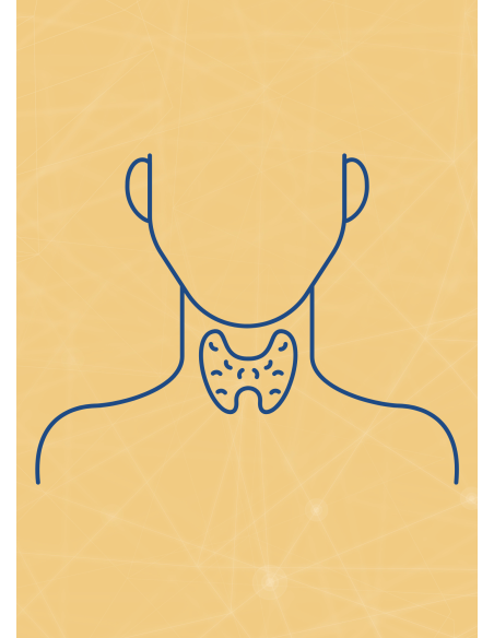 M07 - Piotr Pałagin - ENDOKRYNOLOGIA - Wydawnictwo Virgo ❤