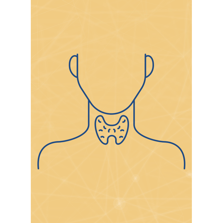 M07 - Piotr Pałagin - ENDOKRYNOLOGIA M07 - Piotr Pałagin - ENDOKRYNOLOGIA