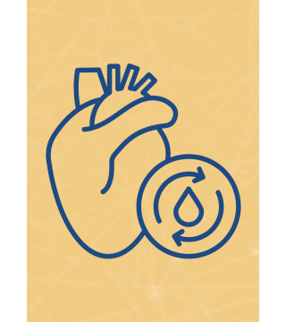 M05 - Piotr Pałagin - SERCE I UKŁAD KRĄŻENIA - Wydawnictwo Virgo ❤