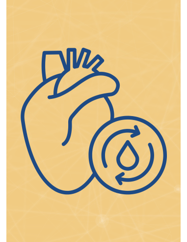 M05 - Piotr Pałagin - SERCE I UKŁAD KRĄŻENIA - Wydawnictwo Virgo ❤