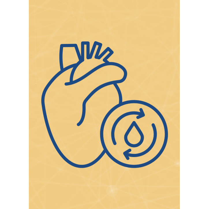 M05 - Piotr Pałagin - SERCE I UKŁAD KRĄŻENIA M05 - Piotr Pałagin - SERCE I UKŁAD KRĄŻENIA