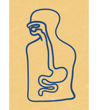 M02 - Piotr Pałagin - UKŁAD POKARMOWY - Wydawnictwo Virgo ❤