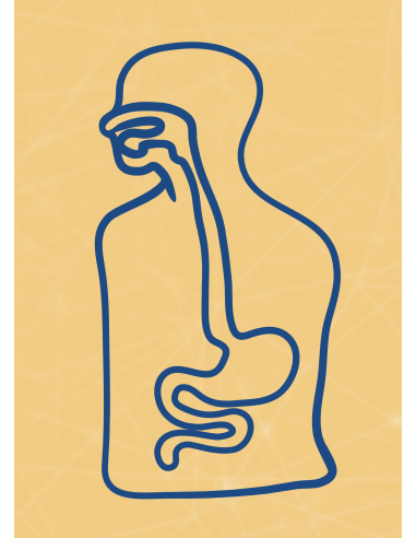 M02 - Piotr Pałagin - UKŁAD POKARMOWY - Wydawnictwo Virgo ❤