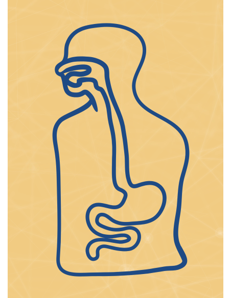 M02 - Piotr Pałagin - UKŁAD POKARMOWY - Wydawnictwo Virgo ❤