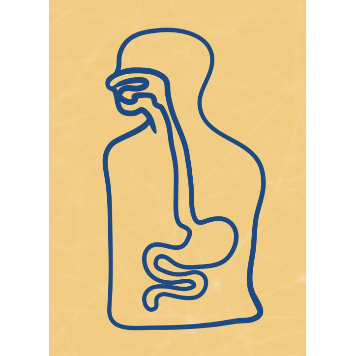 M02 - Piotr Pałagin - UKŁAD POKARMOWY M02 - Piotr Pałagin - UKŁAD POKARMOWY