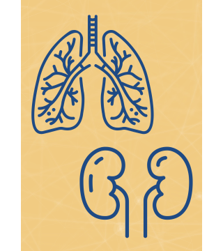 M03 - Piotr Pałagin - OSKRZELA, PŁUCA, NERKI - Wydawnictwo Virgo ❤