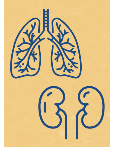M03 - Piotr Pałagin - OSKRZELA, PŁUCA, NERKI - Wydawnictwo Virgo ❤