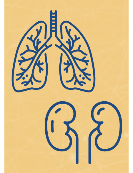 M03 - Piotr Pałagin - OSKRZELA, PŁUCA, NERKI - Wydawnictwo Virgo ❤