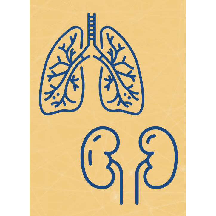M03 - Piotr Pałagin - OSKRZELA, PŁUCA, NERKI M03 - Piotr Pałagin - OSKRZELA, PŁUCA, NERKI