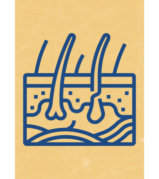 M04 - Piotr Pałagin - SKÓRA - Wydawnictwo Virgo ❤