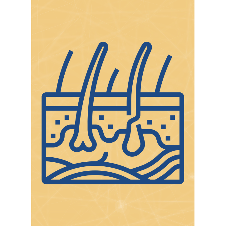 M04 - Piotr Pałagin - SKÓRA M04 - Piotr Pałagin - SKÓRA