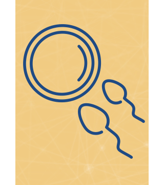 M11 - Piotr Pałagin - NIEPŁODNOŚĆ, POCZĘCIE - Wydawnictwo Virgo ❤