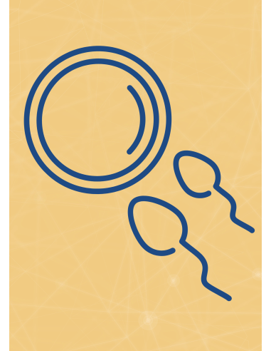 M11 - Piotr Pałagin - NIEPŁODNOŚĆ, POCZĘCIE - Wydawnictwo Virgo ❤