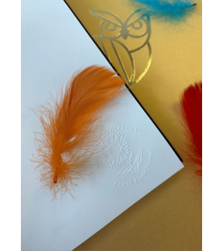 BIOLOGIKA SUKCESJI POKOLENIOWEJ sezon IV - Wydawnictwo Virgo ❤