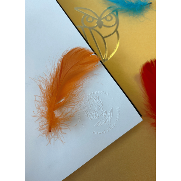 BIOLOGIKA SUKCESJI POKOLENIOWEJ  sezon IV