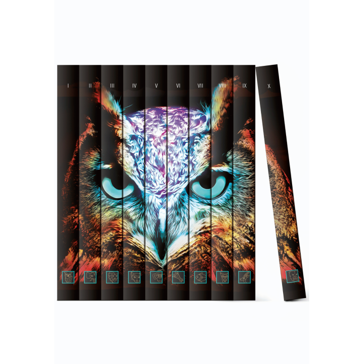 BIOLOGIKA SUKCESJI POKOLENIOWEJ  sezon IV