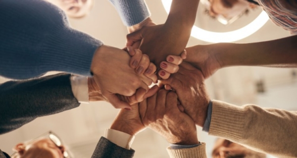 Opowieści z drzewa rodowego