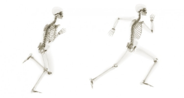 Co odkrył na temat mięśni doktor Hamer?