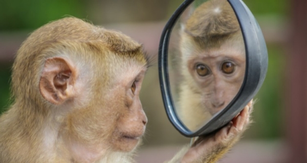 Jak Cię widzą tak... się czujesz!