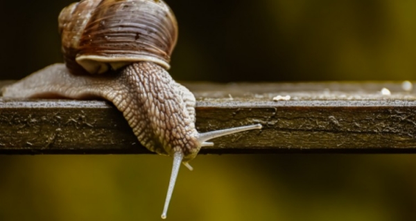 W jaki sposób się powstrzymujesz?