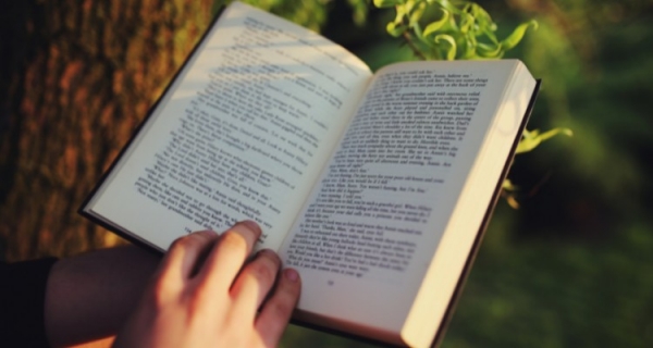 Siła czy moc? – badanie poziomów świadomości wg teorii D. R. Hawkinsa