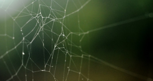 Jedna prosta zasada... - dr Hawkins odpowiada na pytania uczniów