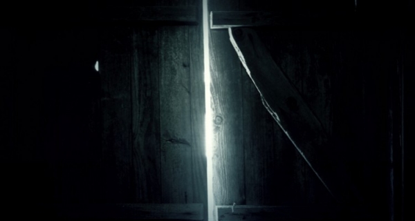 O naturze, duchu i materii, czyli o ciemności, ukrytym porządku i o byciu razem